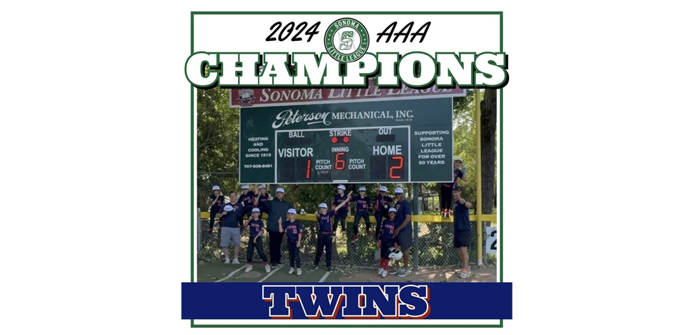 TWINS 2024 CHAMPIONS 